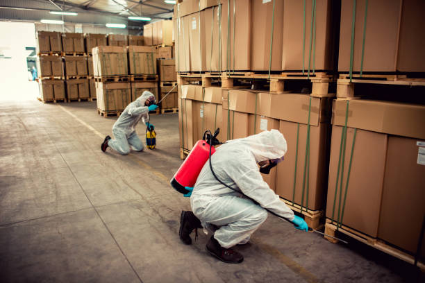 Best Best Pest Control Companies  in Dolton, IL