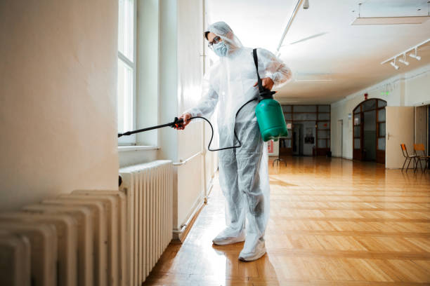 Trusted Dolton, IL Pest Control Experts